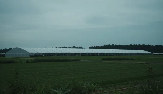 软件定制使用与维护建议：坚持品质为本